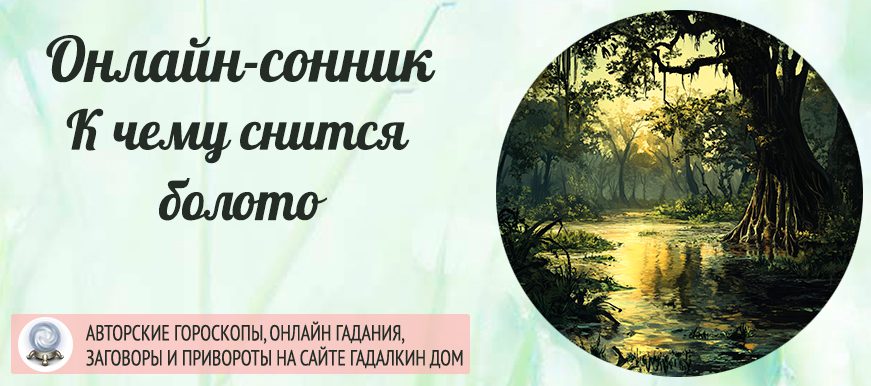 сонник Болото