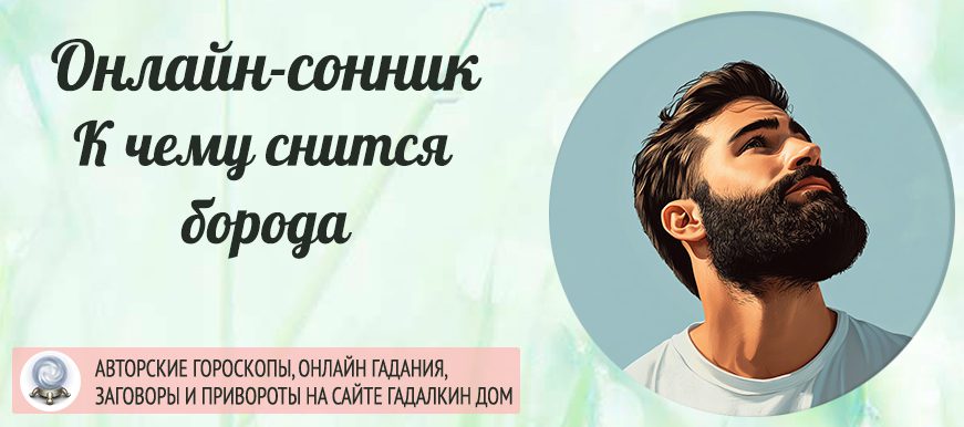 сонник борода
