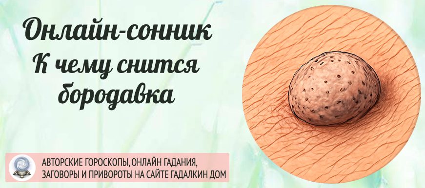 сонник Бородавки