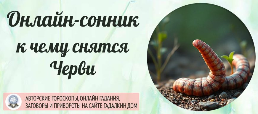 сонник черви