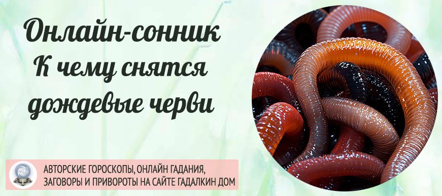 Дождевые черви во сне