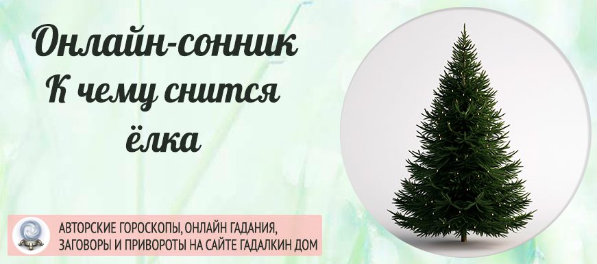 сонник елка