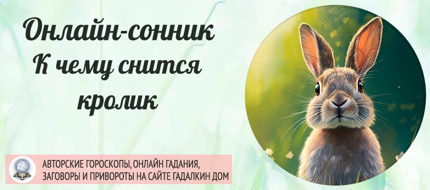 Сонник кролик