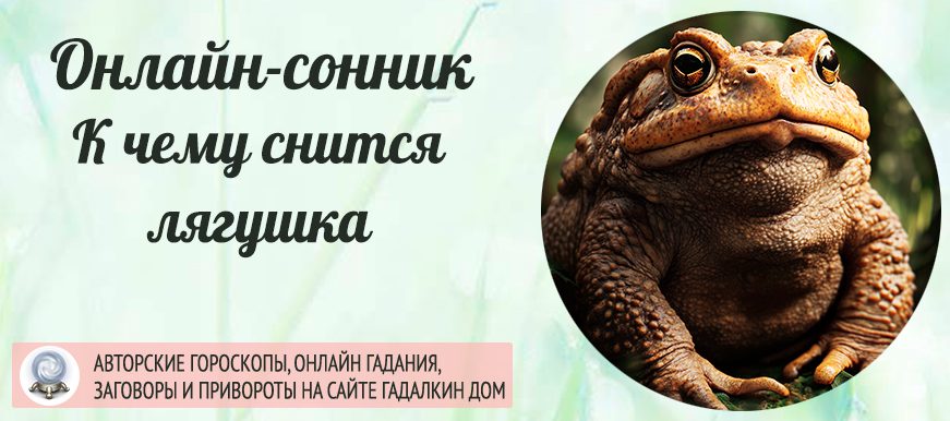 Лягушка во сне