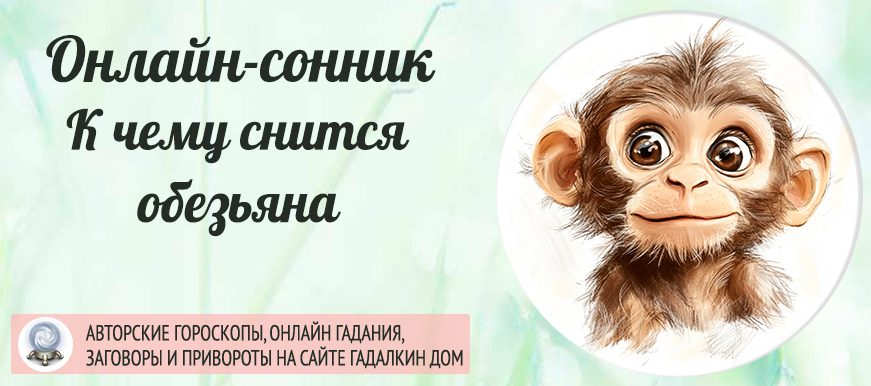 Обезьяна во сне