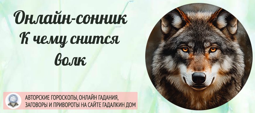 Волк во сне
