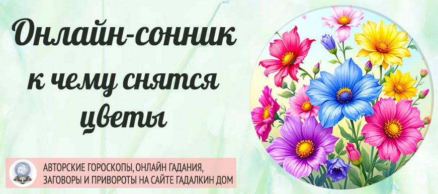 сонник цветы