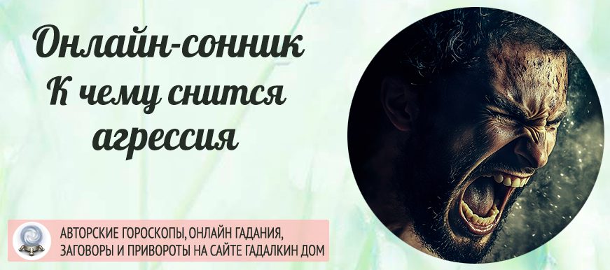сонник агрессия