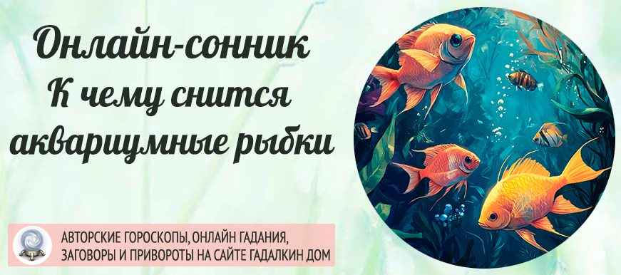 сонник аквариумные рыбки