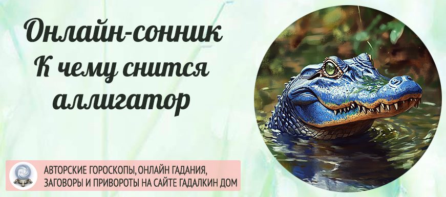сонник аллигатор
