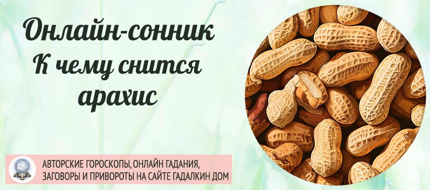 сонник арахис