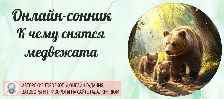 сонник медвежата