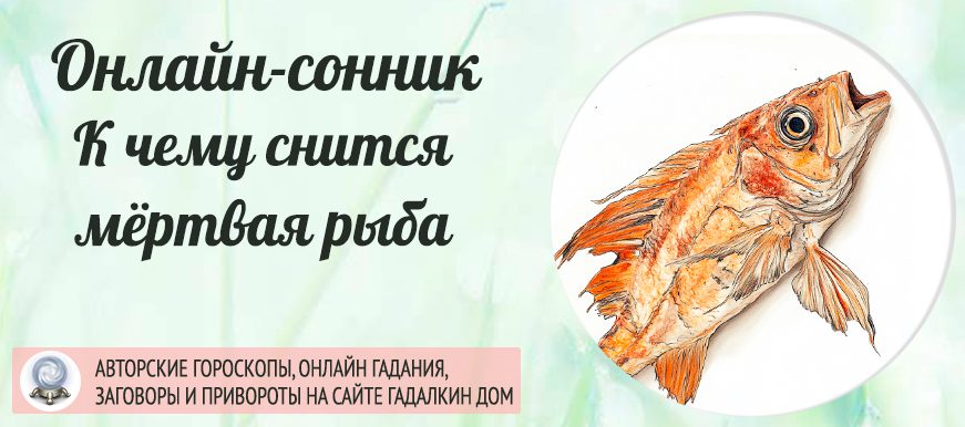 сонник мертвая рыба