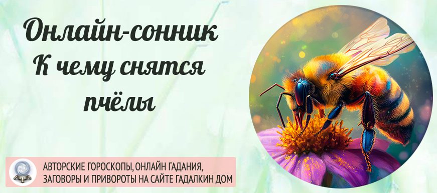 снятся пчелы