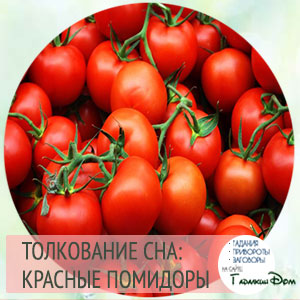 pomidor 1