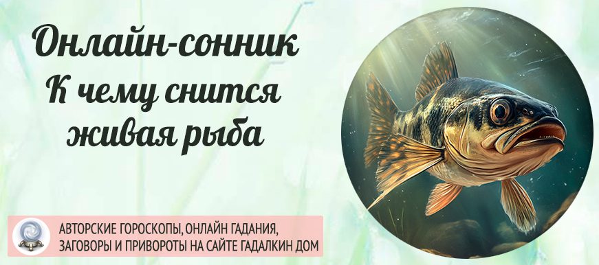 сонник живая рыба