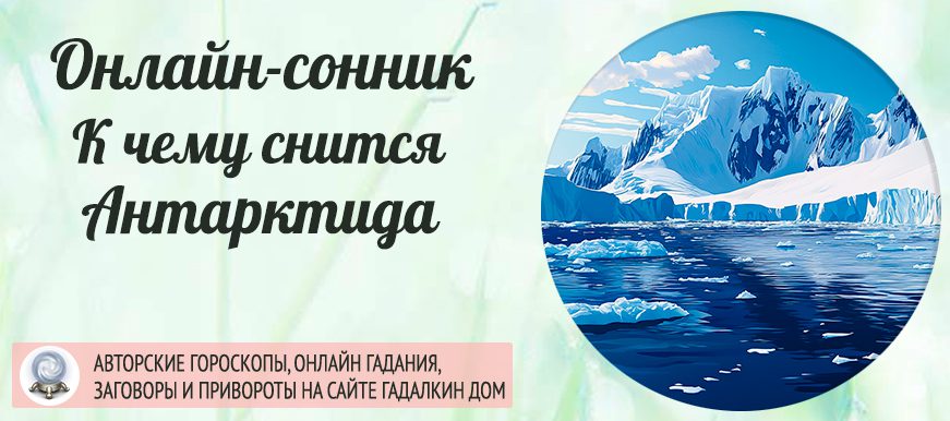 сонник Антарктида