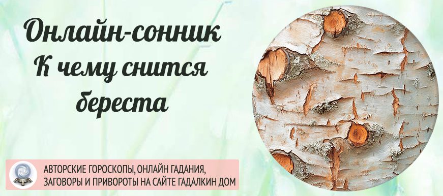 сонник Береста