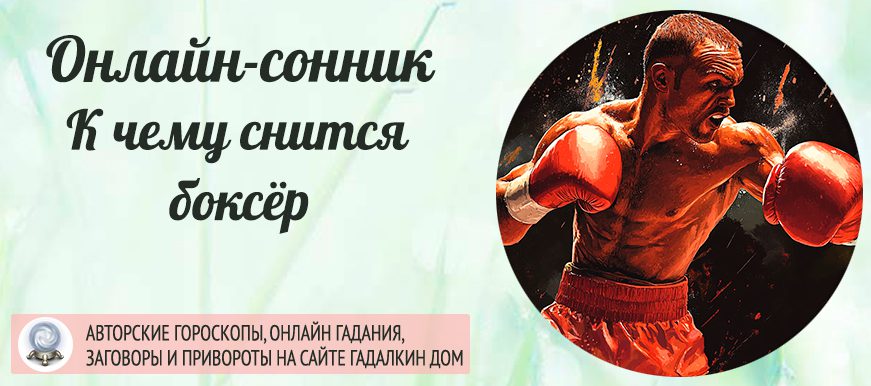 приснился боксер