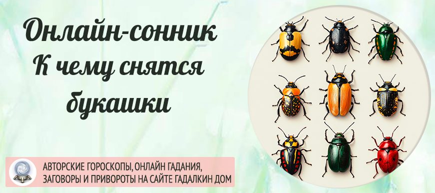 приснилась букашка