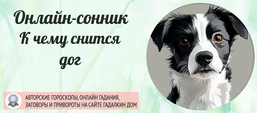 сонник дог
