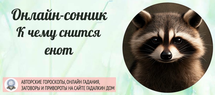 К чему снятся еноты