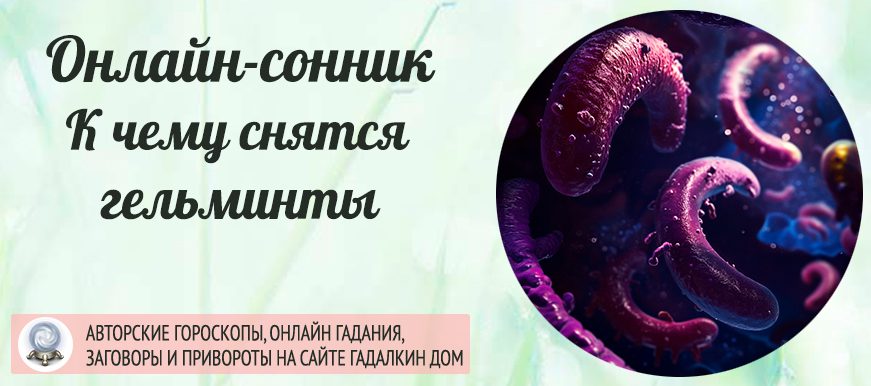 Что значит если приснились гельминты