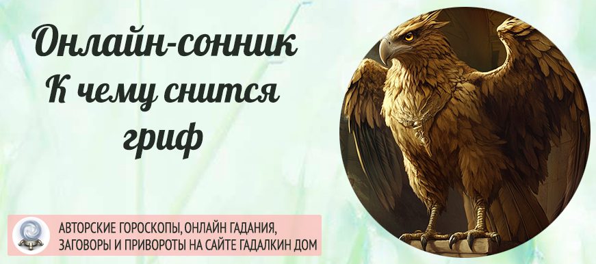 Что значит если приснился гриф