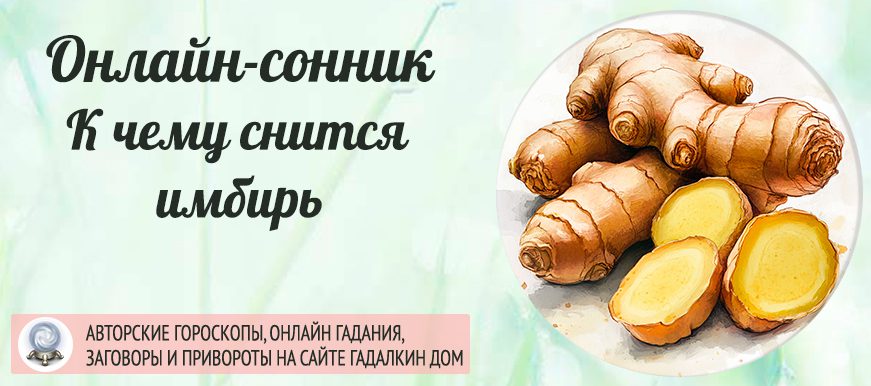 приснился имбирь