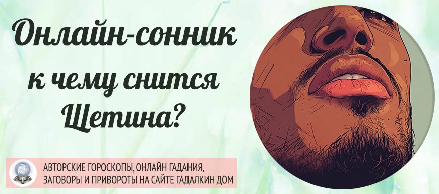 сонник щетина