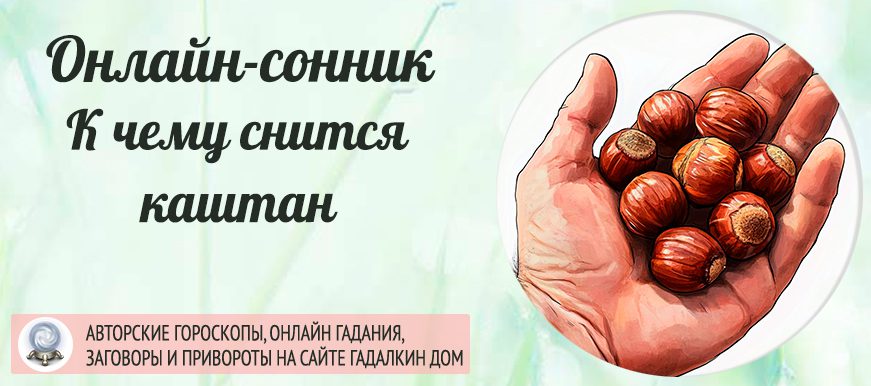 приснился каштан
