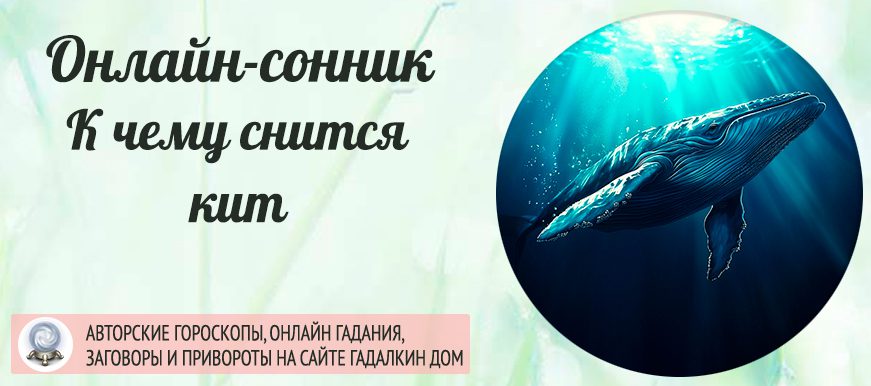 снится кит