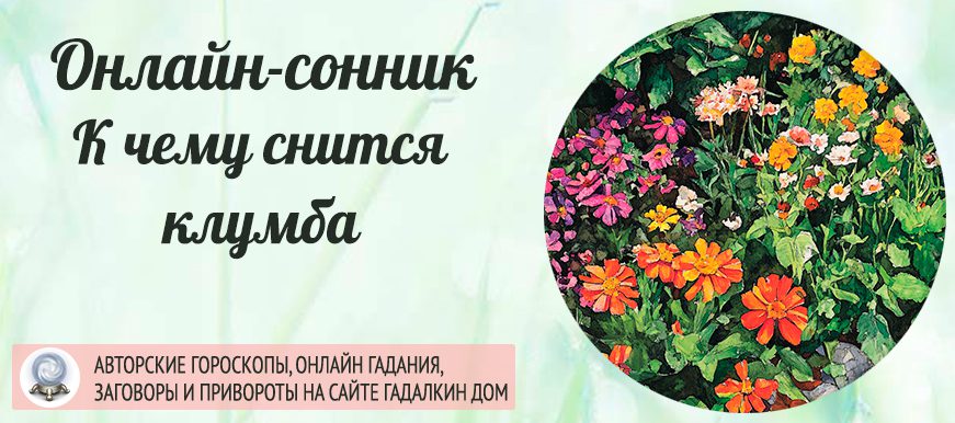 приснилась клумба