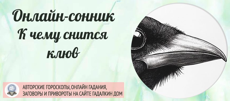 сонник клюв