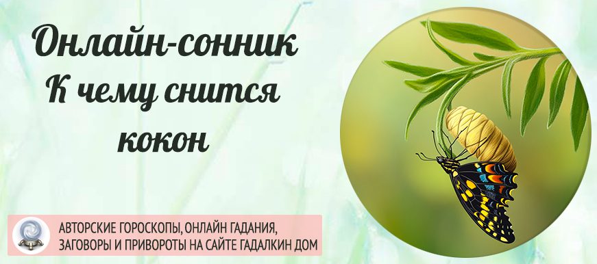 приснился кокон