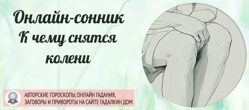 сонник колени