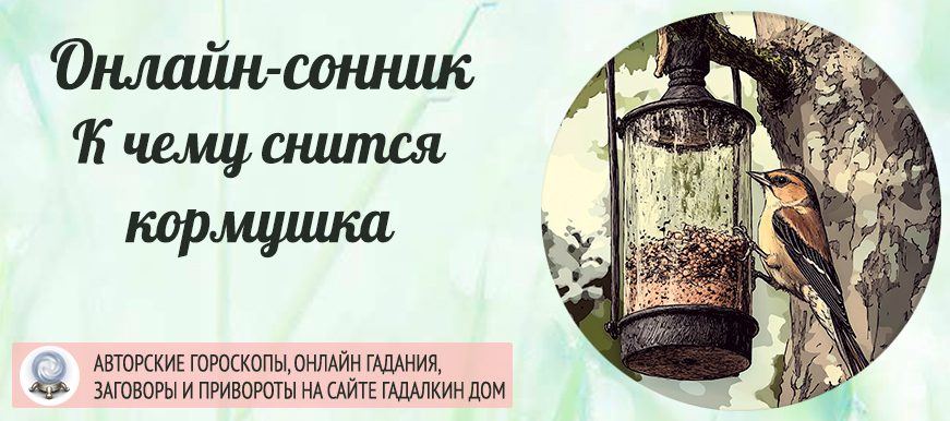 сонник кормушка