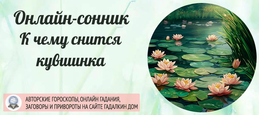 сонник Кувшинка