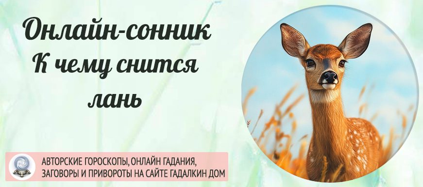 сонник Лань