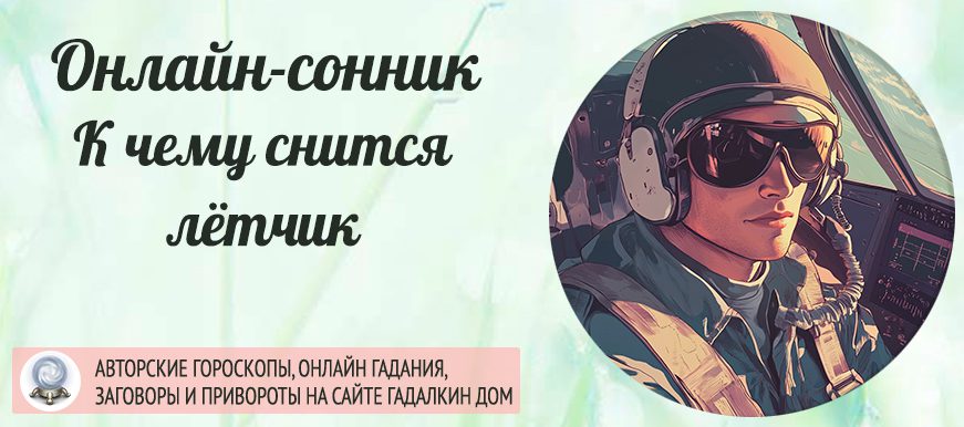сонник летчик