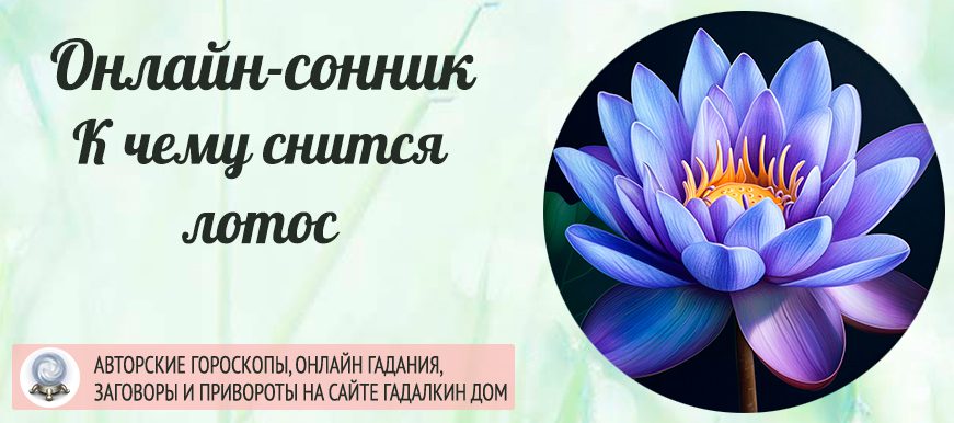 приснился лотос