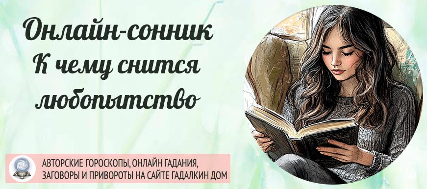 сонник любопытство