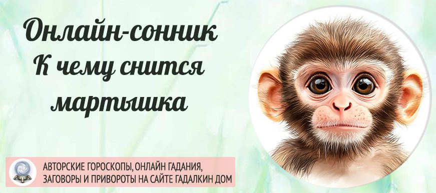 приснилась мартышка