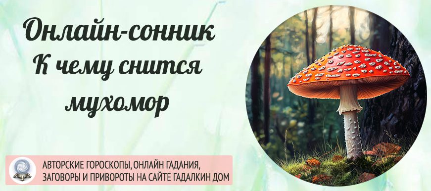сонник мухомор