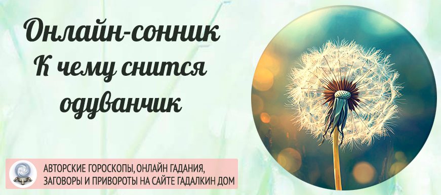 сонник одуванчик