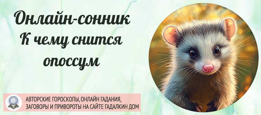 сонник опоссум