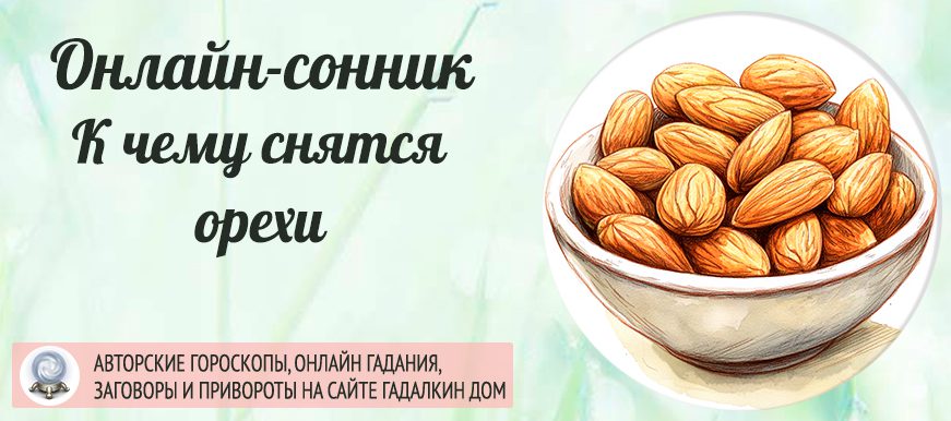 К чему снятся орехи