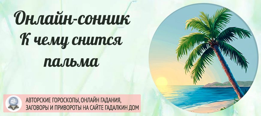 во сне увидели пальму