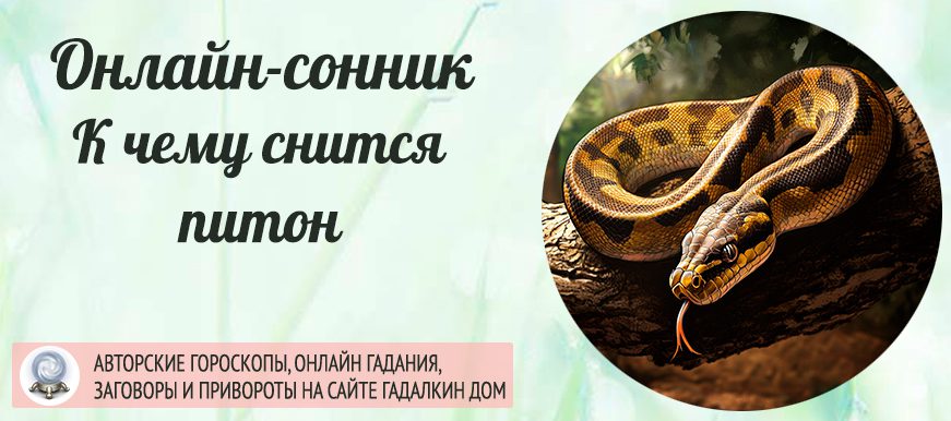 снится удав или питон