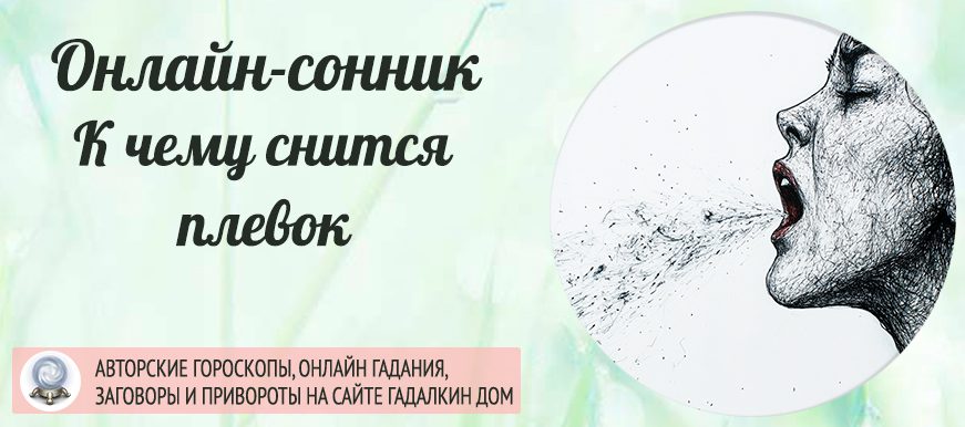 сонник плевок